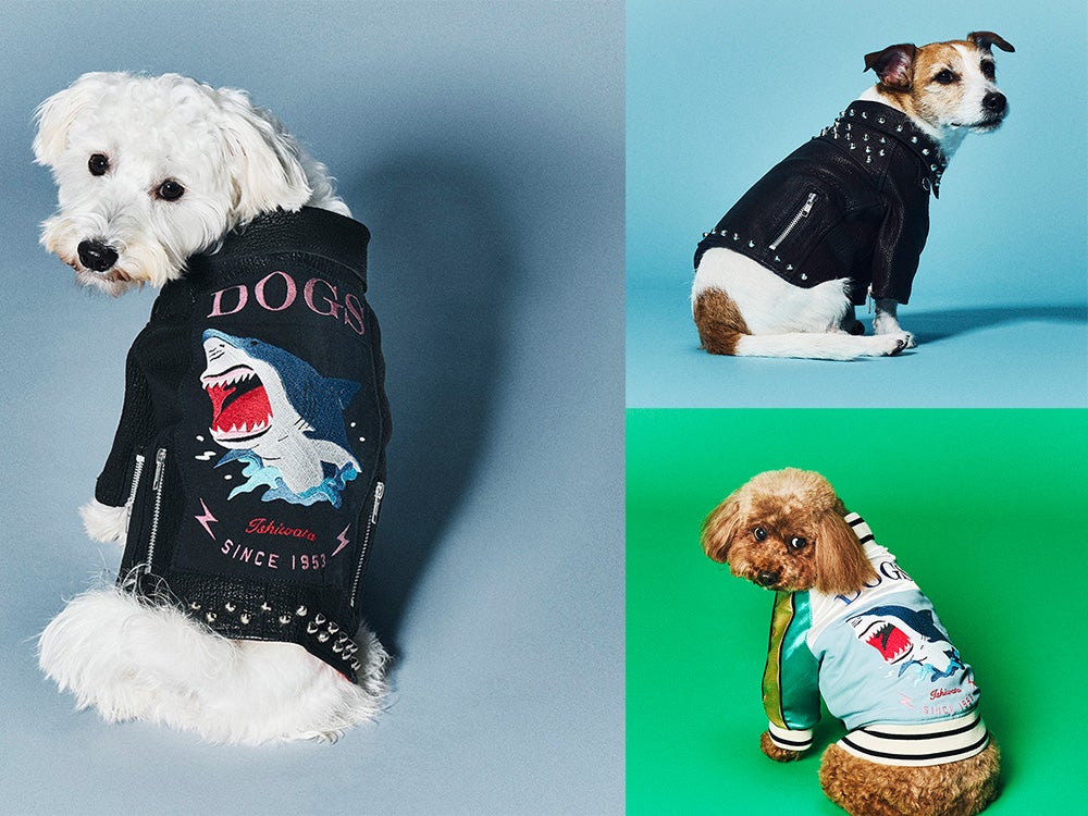 ライダースを着た愛犬の可愛さがハンパない！　気仙沼発・サメ革のライダースジャケット『サメジャン』は、海の資源を無駄なく使うサステイナブルな取り組み