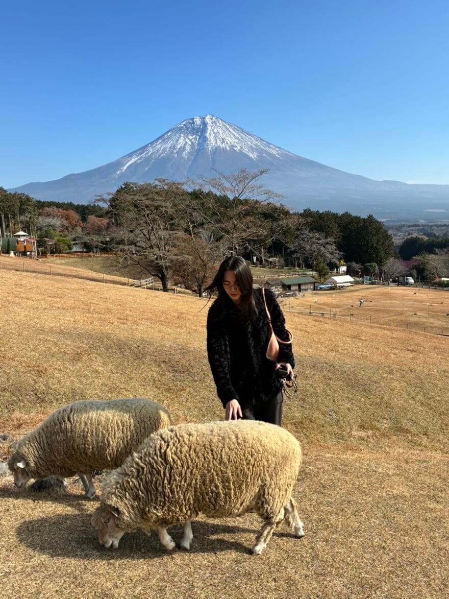 羊に触る籠宮壮太朗