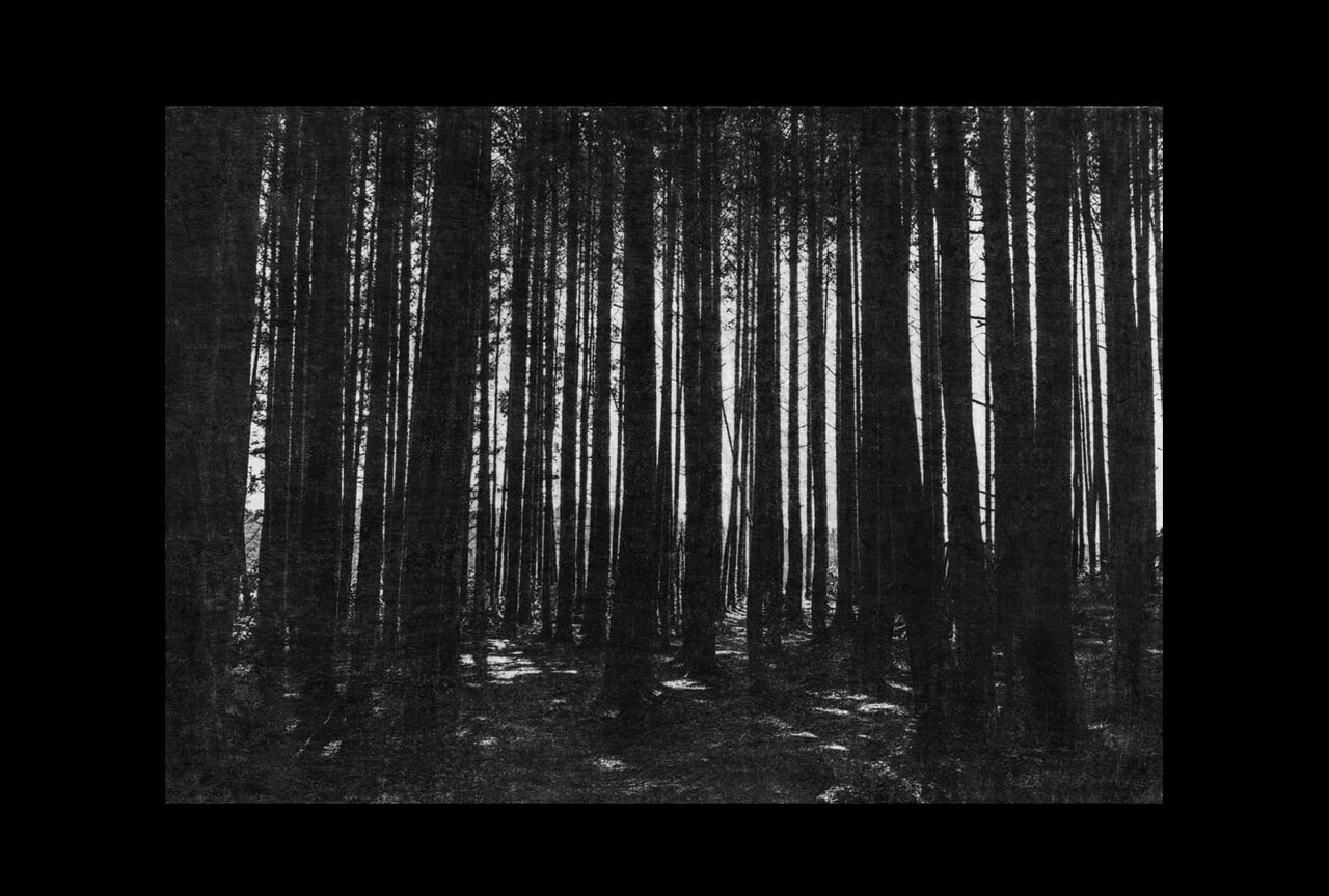 『asia』掲載写真2