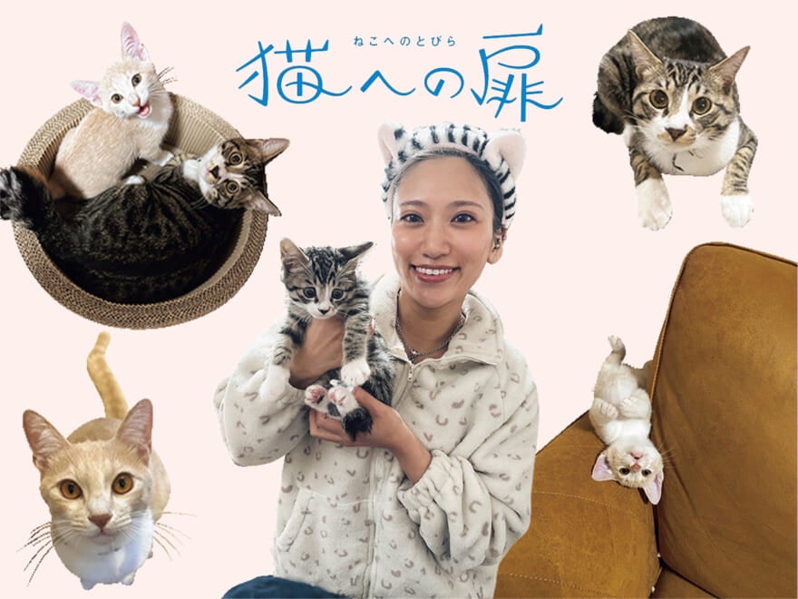 ［ミックス］芸人・信子（ぱーてぃーちゃん）の愛猫の話。「“ちゅ〜るはひとり1本”が我が家の決まり」。【猫への扉】