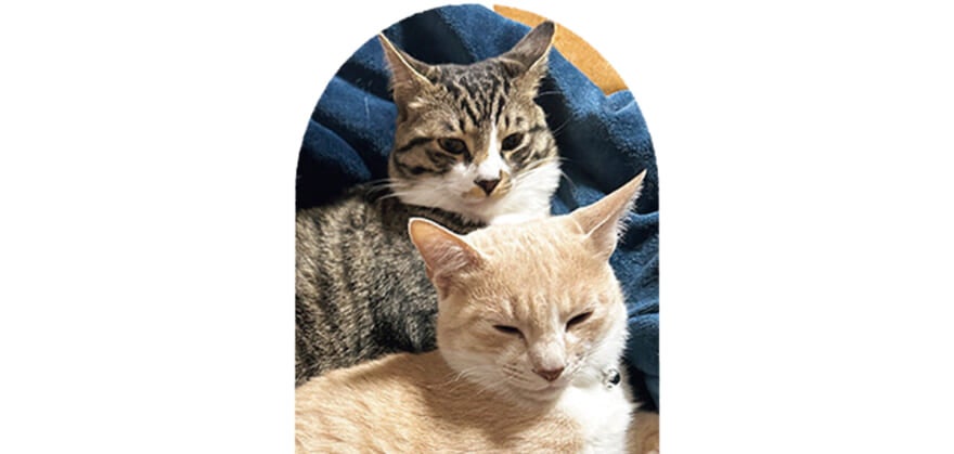 ミックスのふぐ（♂）とミックスのたい（♂）　1