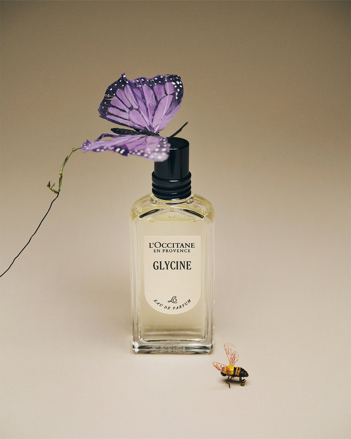 ロクシタンの「グリシーヌ オードパルファム」