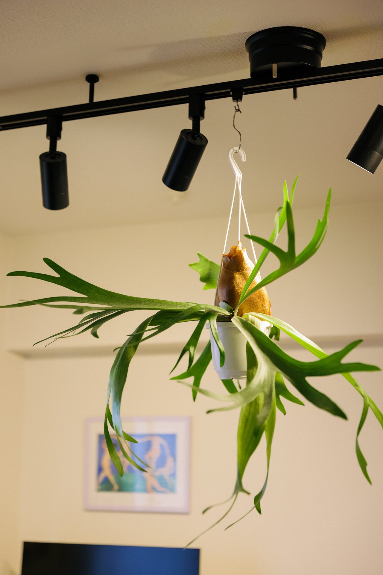 大浦竜城さんの部屋　9