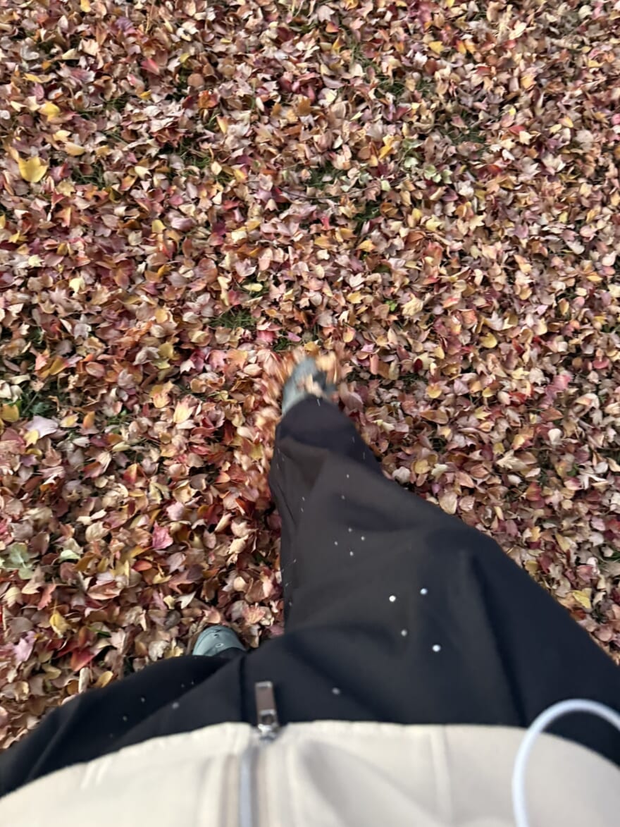 落ち葉と、それを踏み締める石川愛大の足