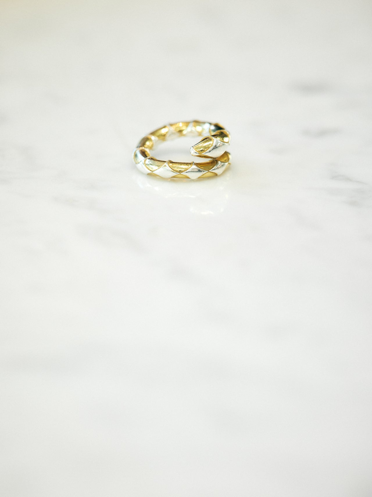 オシャレな人が買ってよかった〈R.ALAGAN〉のリングの寄り