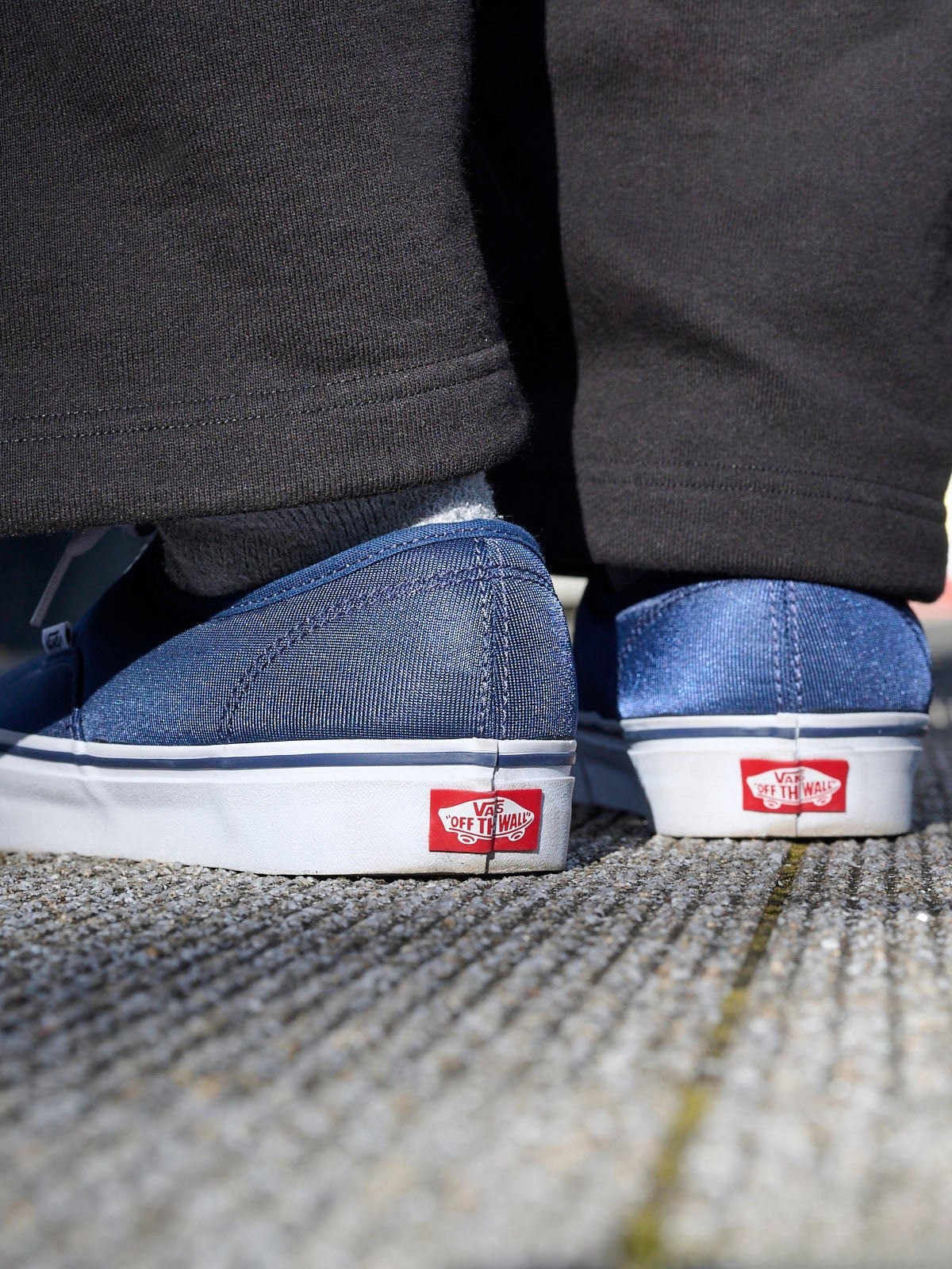 ヴァンズ、Authentic、ヒール