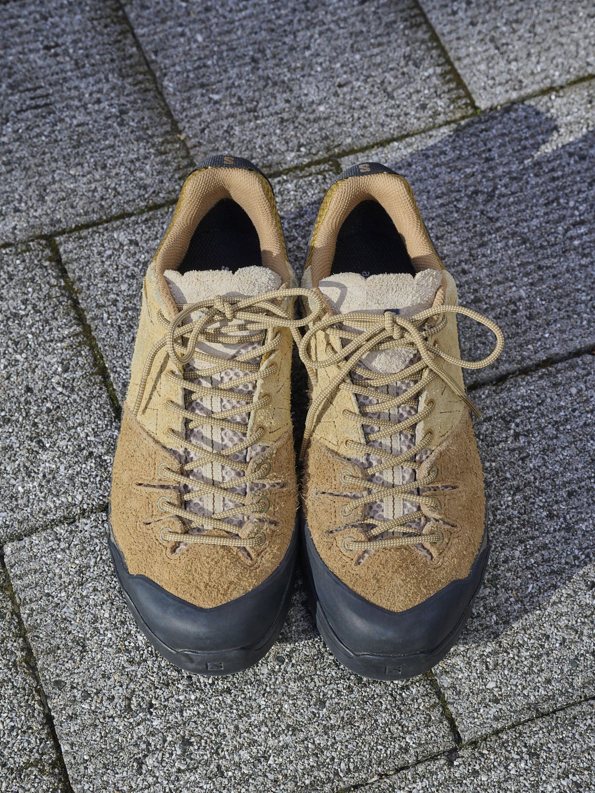 サロモン、X-ALP（TM) Suede