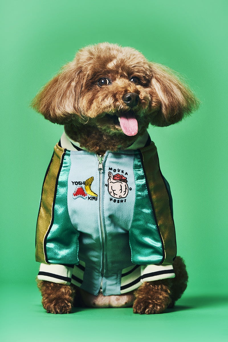 気仙沼ジャンパー「ヌマジャン」を着用する犬2