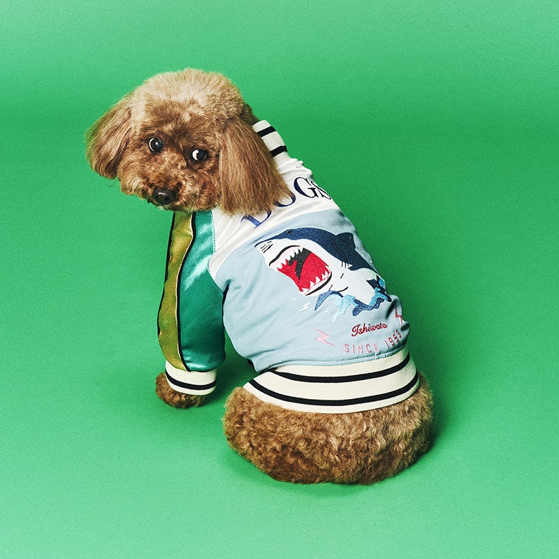 気仙沼ジャンパー「ヌマジャン」を着用する犬1