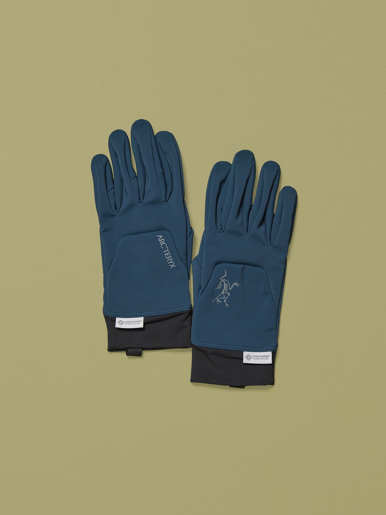 アークテリクスのベンタ グローブ 手袋