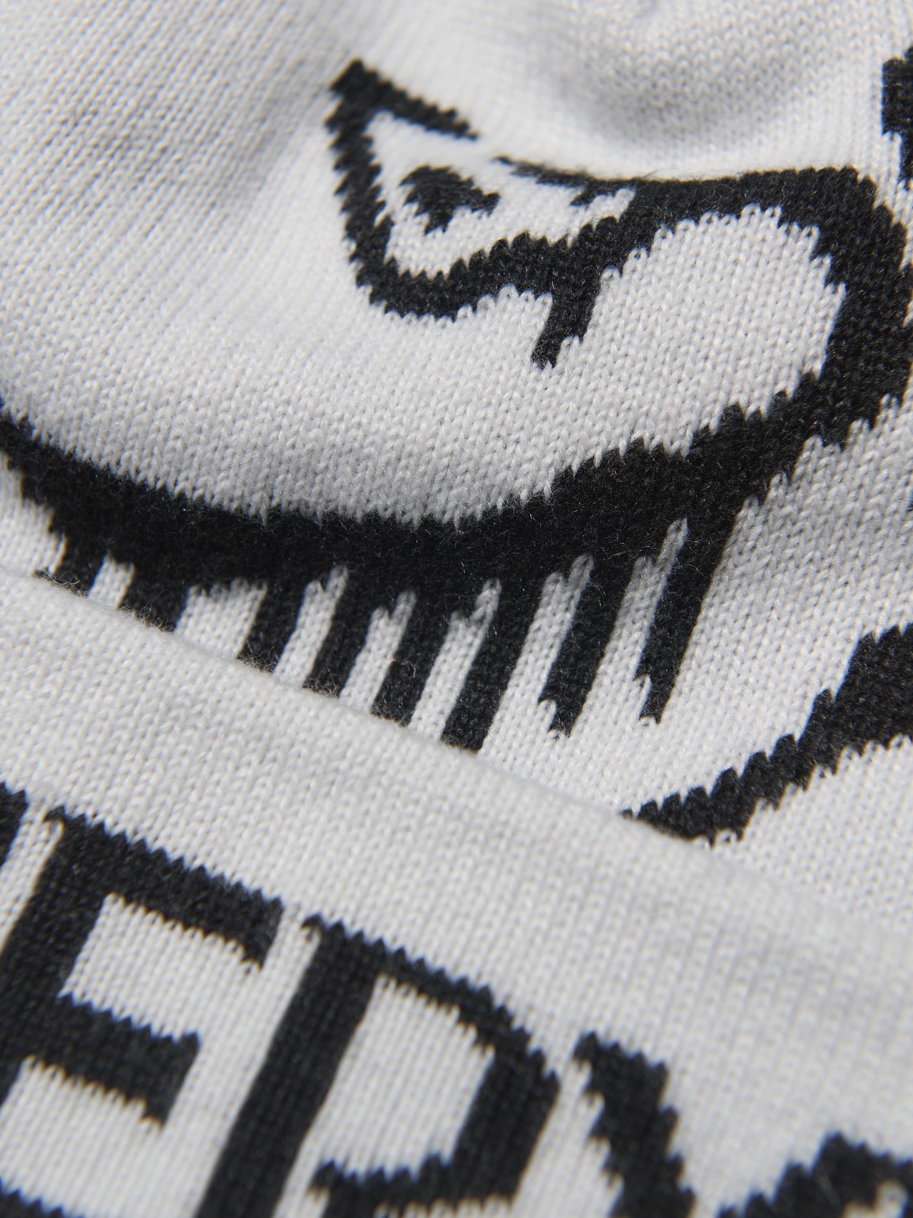 アークテリクスのバード ワード トーク 帽子のバードロゴ、ブランドロゴ