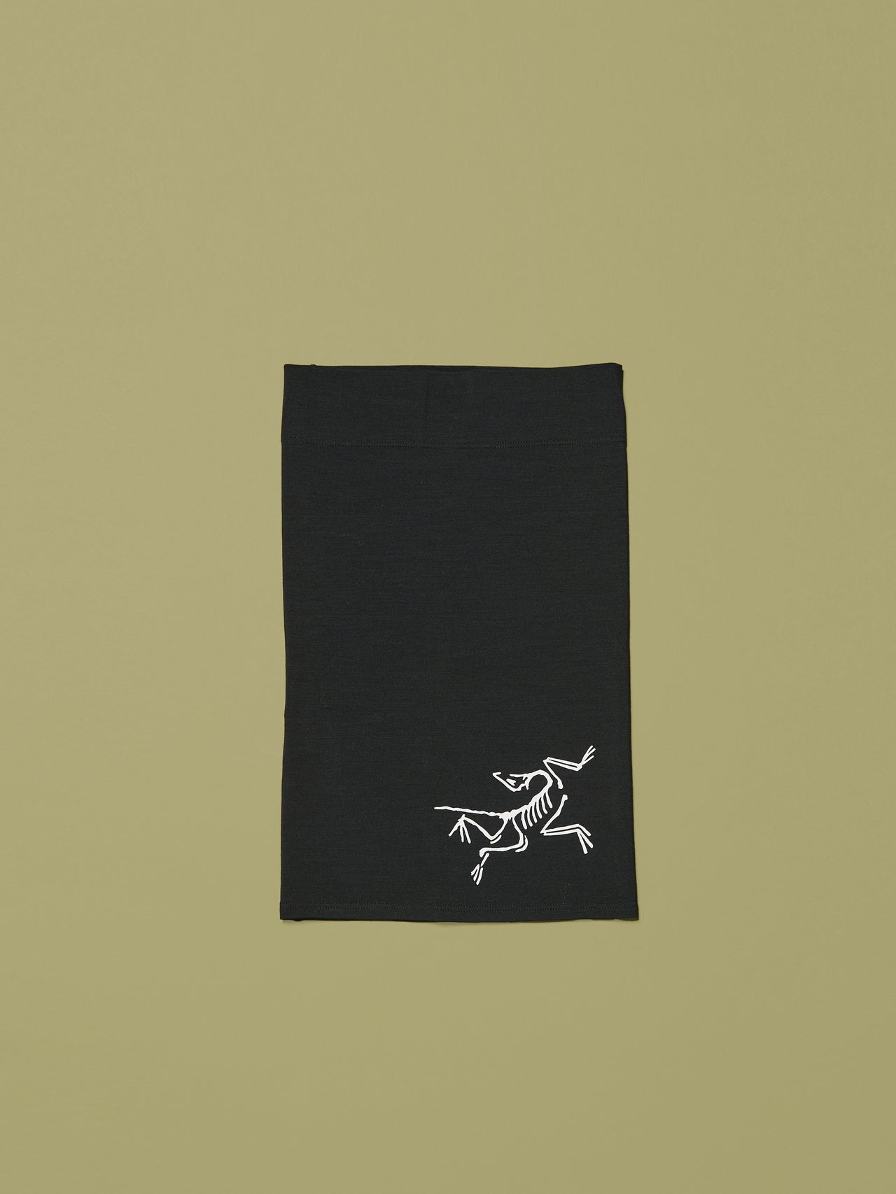 アークテリクスのサトロ メリノ ネック ゲイター