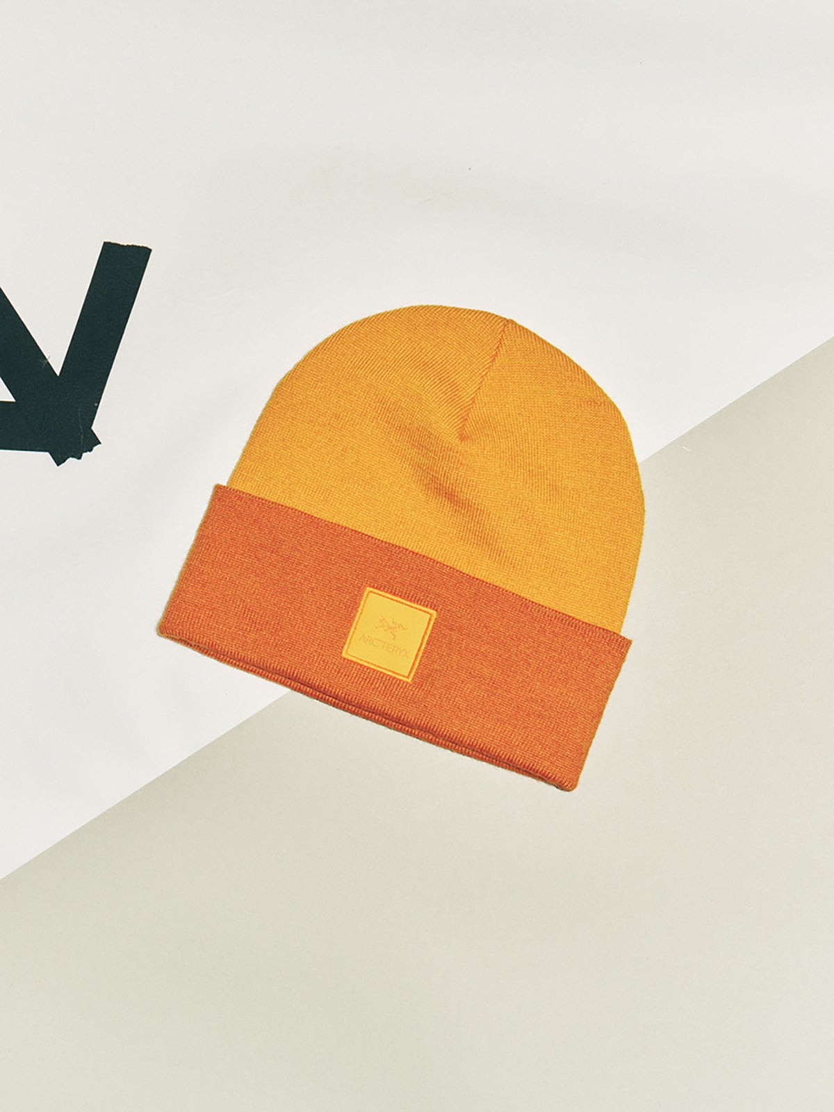 アークテリクスのカラー ブロック トーク 帽子