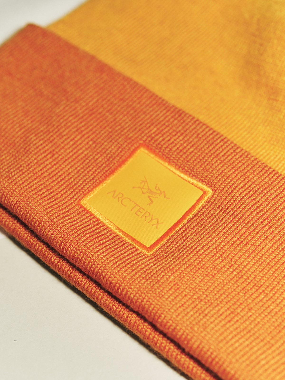 アークテリクスのカラー ブロック トーク 帽子のロゴの寄り