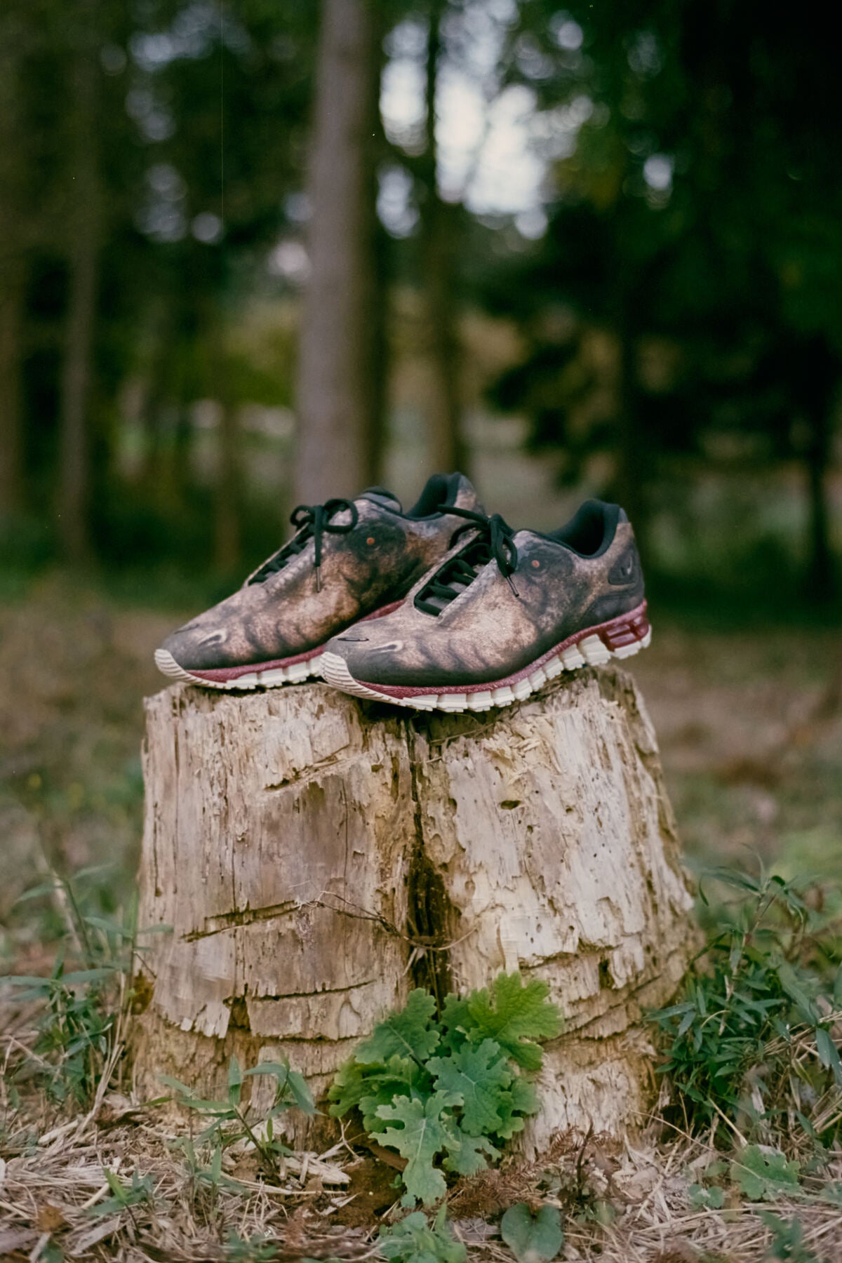 GEL-QUANTUM 360 I AMP 4