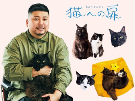 ［メインクーン・ミックス］陶芸家・イラストレーターの山中正大の愛猫の話。「“陰から見る”タイプが僕は好き」。【猫への扉】
