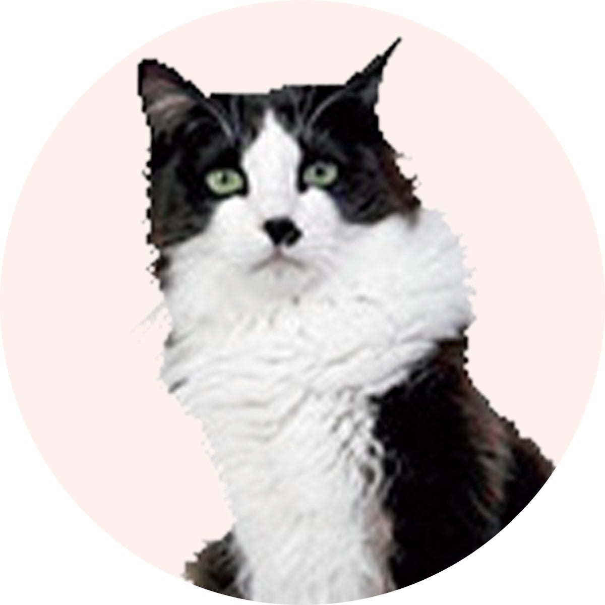 ミックスのヤミー