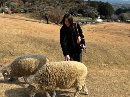 地元に帰って、富士山のまわりを一周[籠宮壮太朗ブログ]