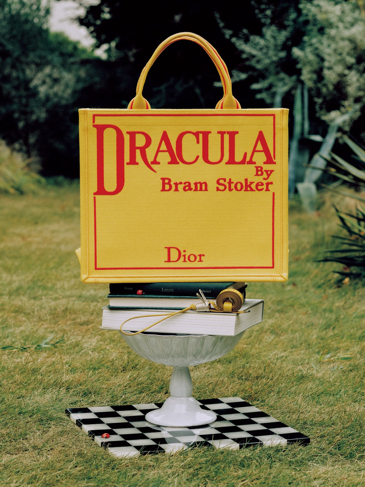 Diorのドラキュラブックトートバッグ