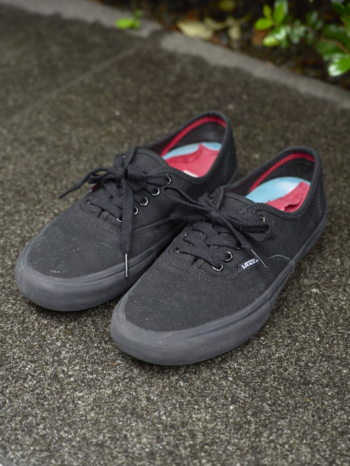 ヴァンズ スケートライン 正面