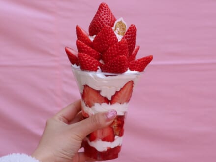 いちご、いちご、いちご...！横浜赤レンガ倉庫の「Yokohama Strawberry Festival 2026」で“絶品いちごスイーツ”を心ゆくまで堪能してきた