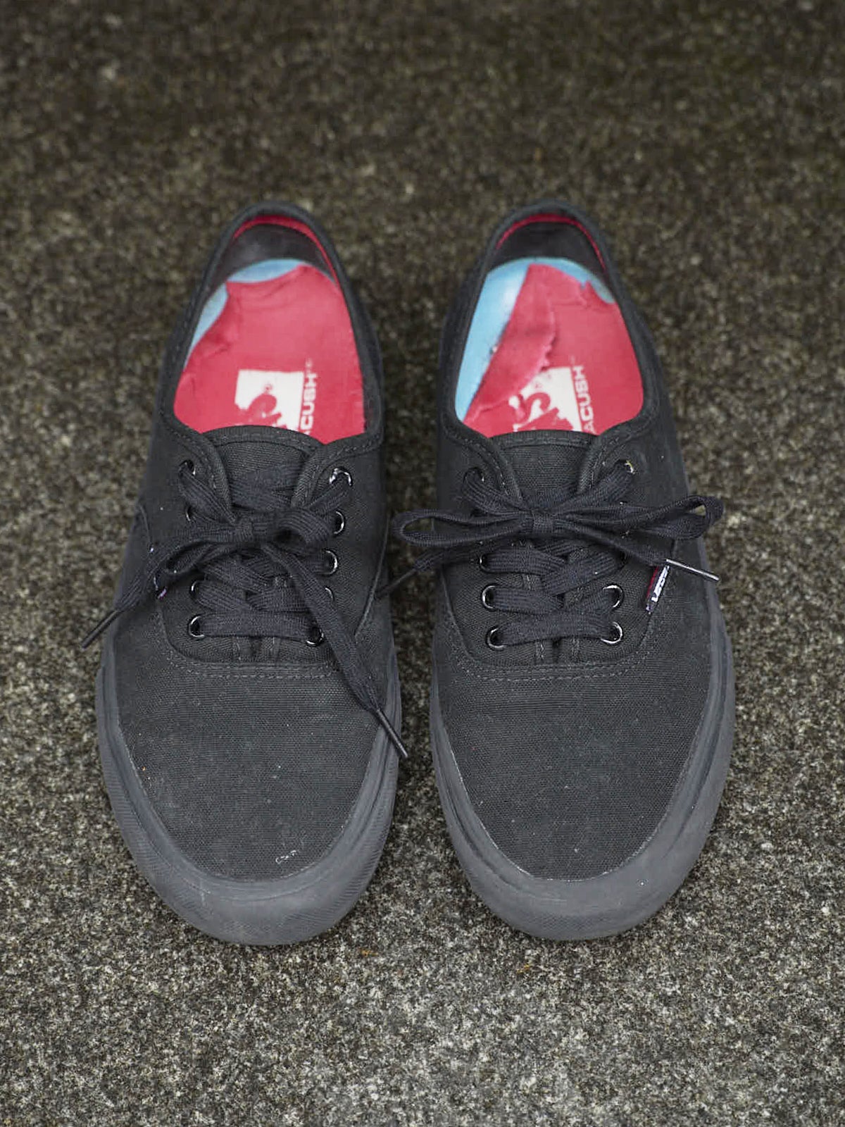 ヴァンズ スケートライン 上から