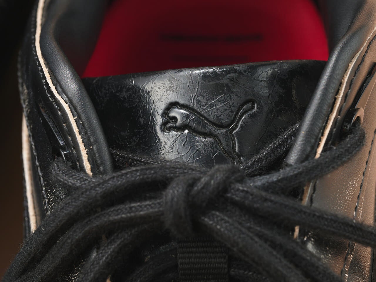 エディターが買ってよかったGADID ANONIEM&times;プーマの 愛用コラボスニーカー モストロXCのタン寄り