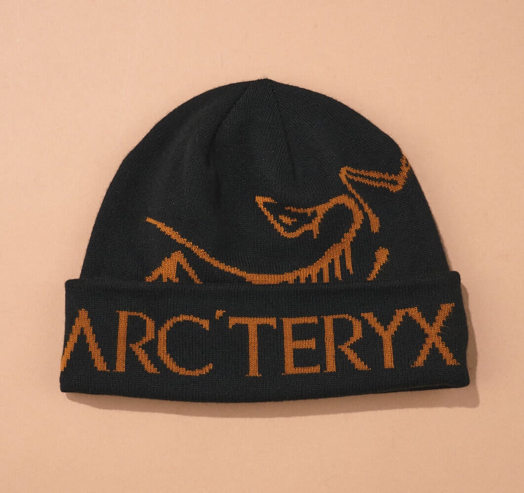 アークテリクス、ARCTREYX、ニット帽、バードトーク