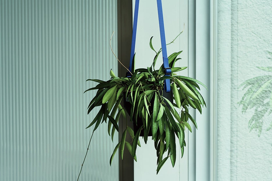 Sunday Planet 47の植木鉢＆ベルト