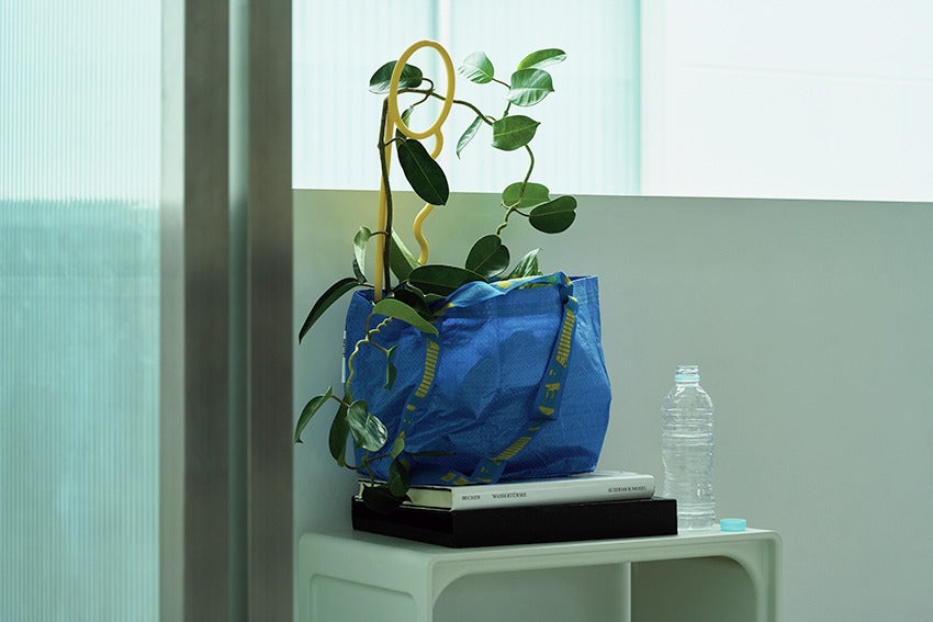 Lucky Thingsの植物用支柱