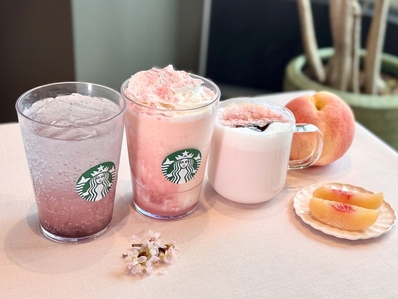 スタバ新作2026桜(SAKURA)メニュー全種類左から
