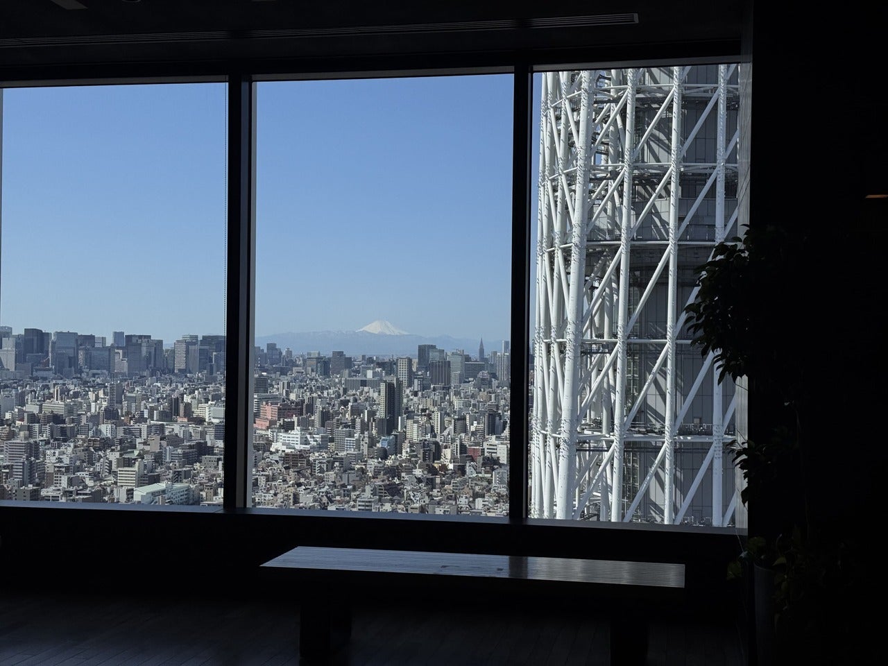 『スターバックス リザーブ&reg; カフェ東京スカイツリータウン30F店』からの眺め