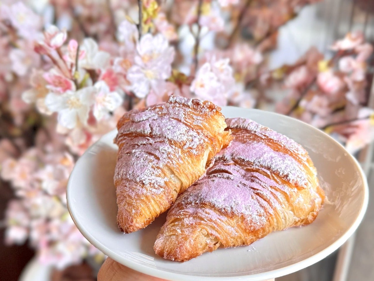 スタバフード「コルネッティ サクラ」