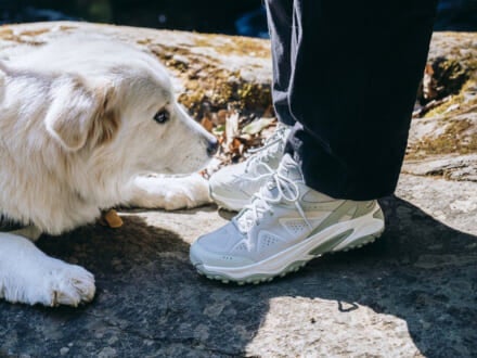 記事のサムネイル
