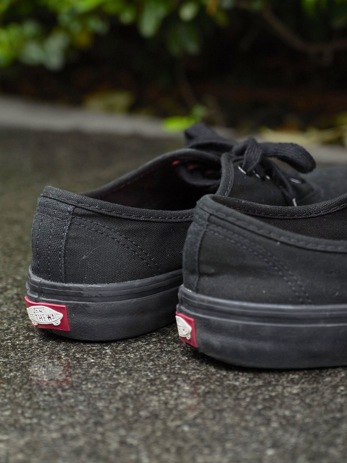 ヴァンズ スケートライン ヒールカウンター