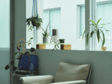 床に置くだけが正解じゃない！ 植物の存在感を高める3つのアイデア[Interior – 今月のインテリア]