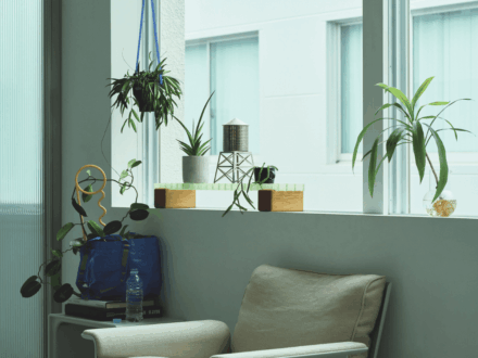 床に置くだけが正解じゃない！ 植物の存在感を高める3つのアイデア[Interior – 今月のインテリア]