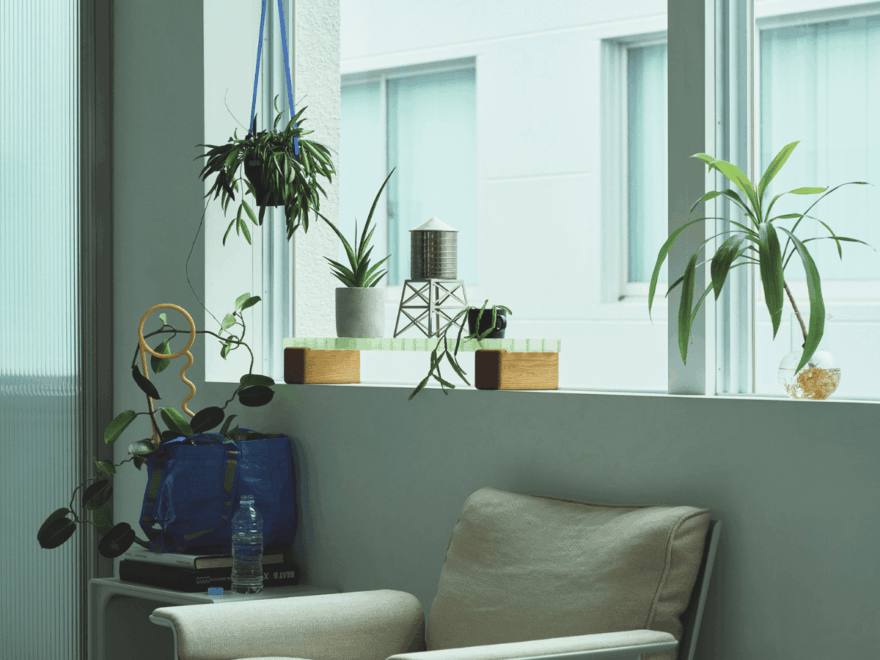 床に置くだけが正解じゃない！ 植物の存在感を高める3つのアイデア[Interior – 今月のインテリア]