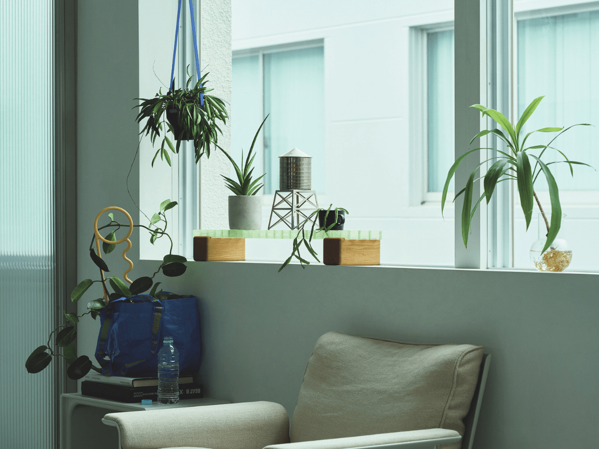 床に置くだけが正解じゃない！ 植物の存在感を高める3つのアイデア[Interior – 今月のインテリア]