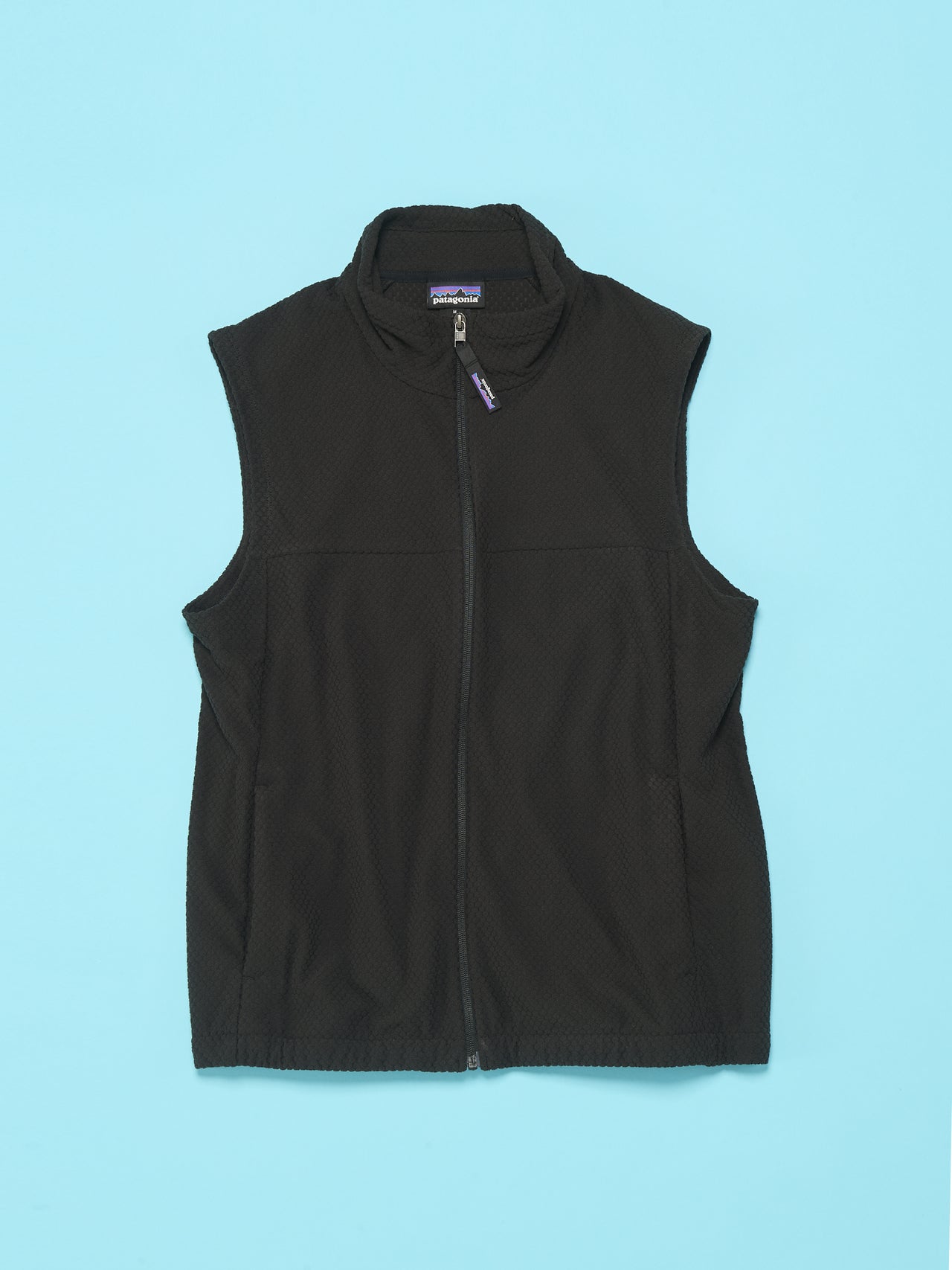 パタゴニアのメンズ・テクスチャード・フリース・ベスト