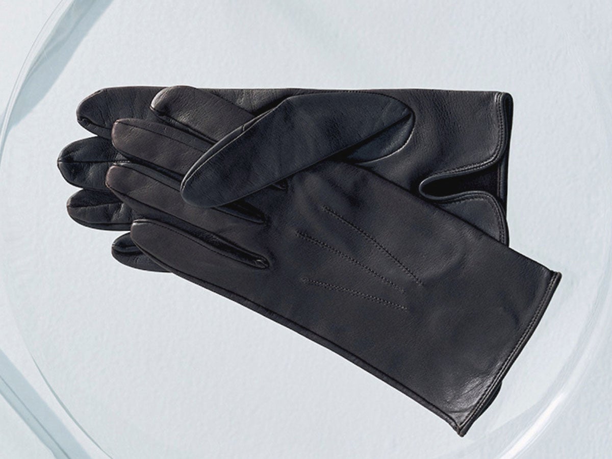 DENTSのグローブ