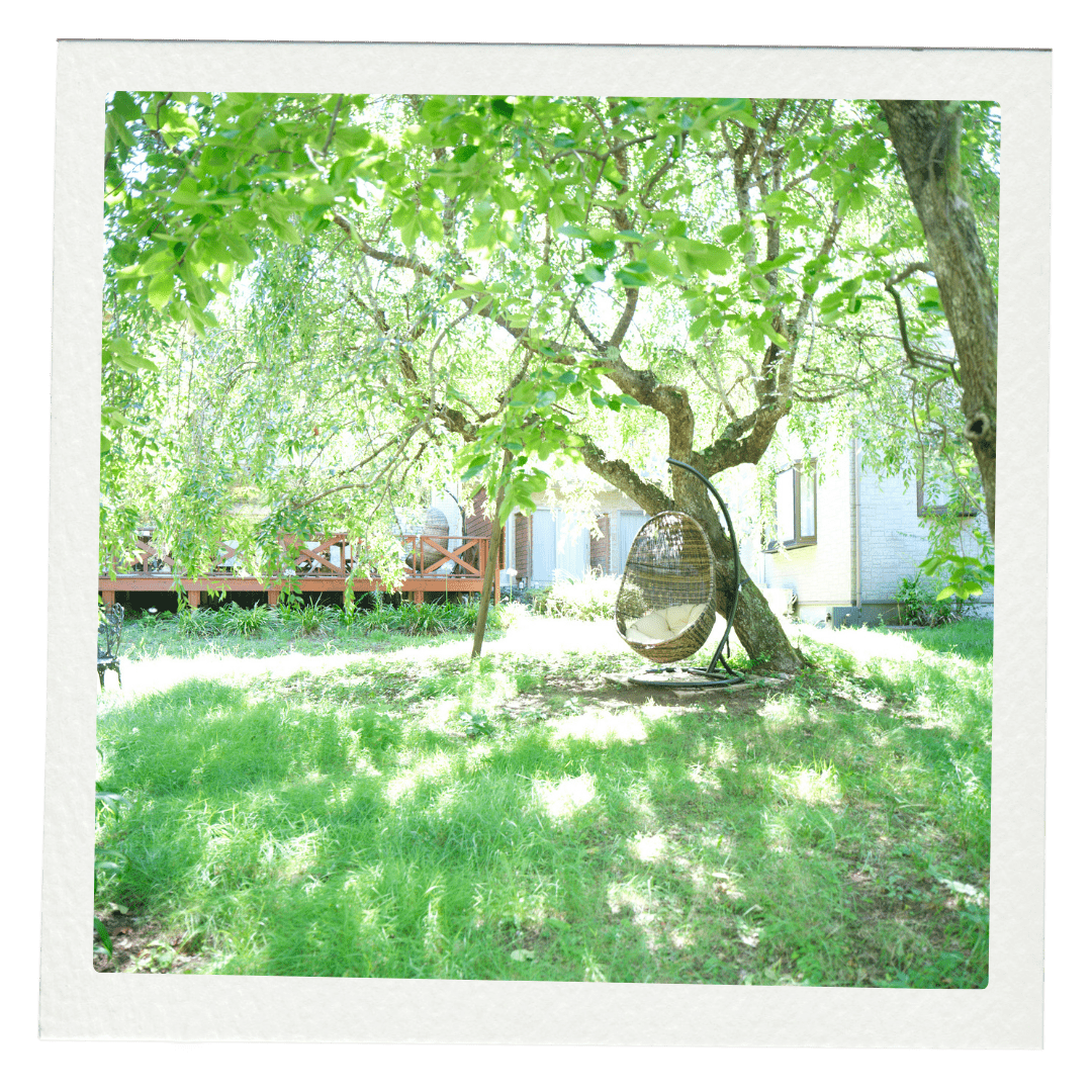 断食道場の環境イメージ