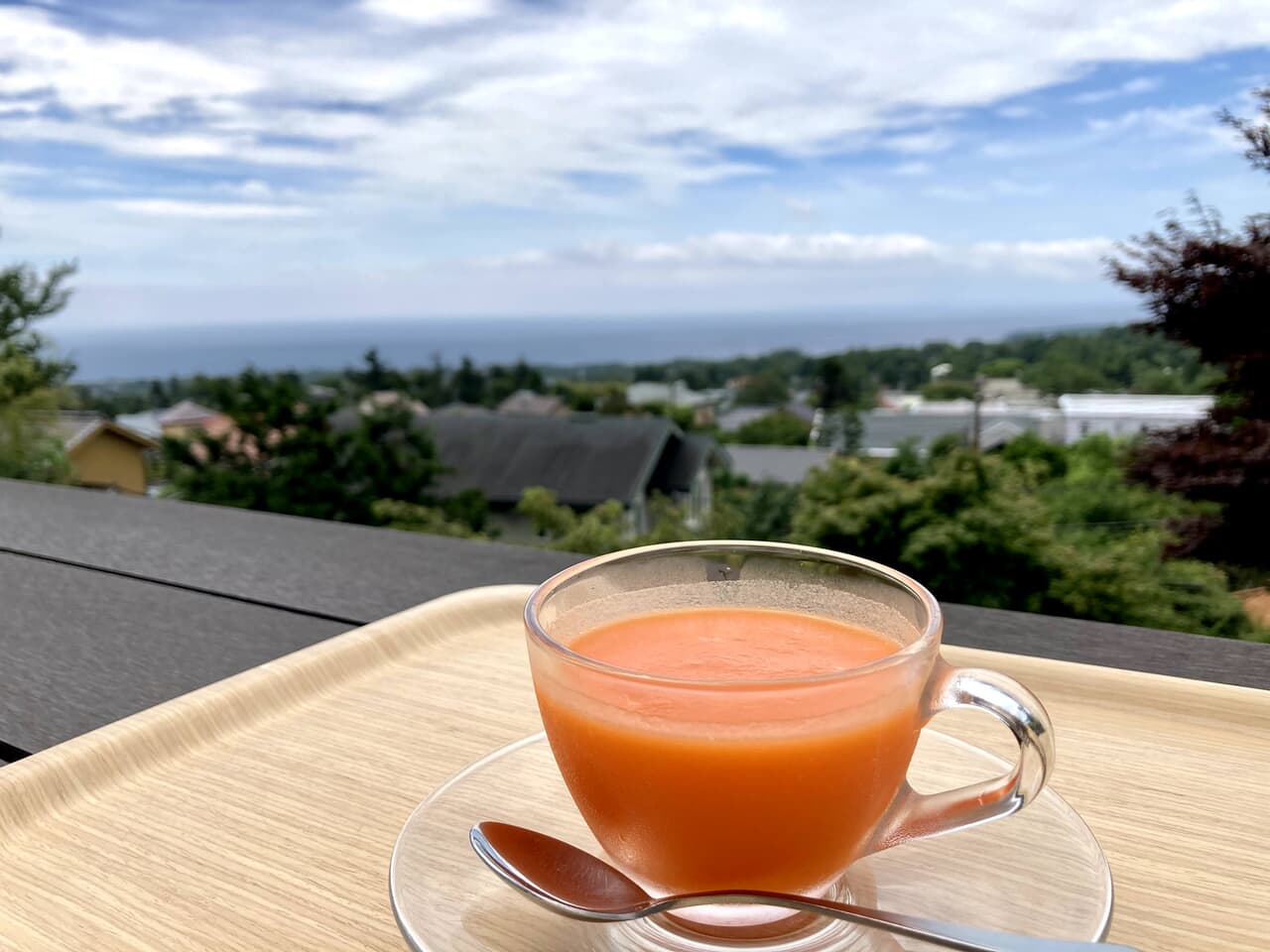 静岡にある断食道場「やすらぎの里」