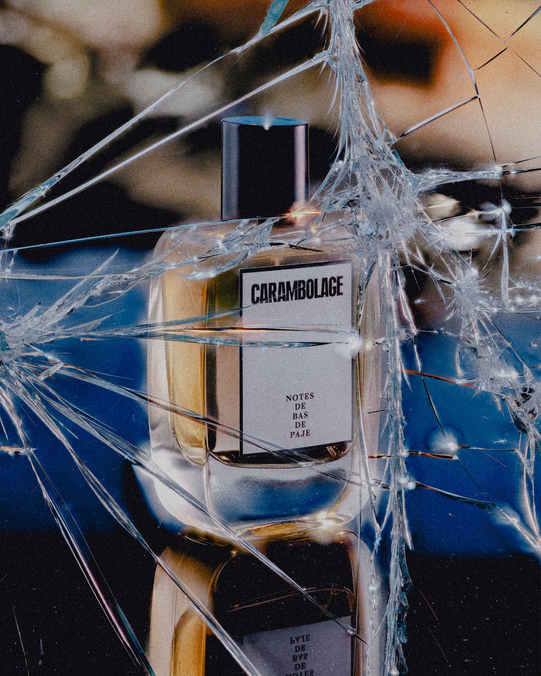 アンセルム　NOTES DE BAS DE PAJE　トートバッグ　キービジュアル