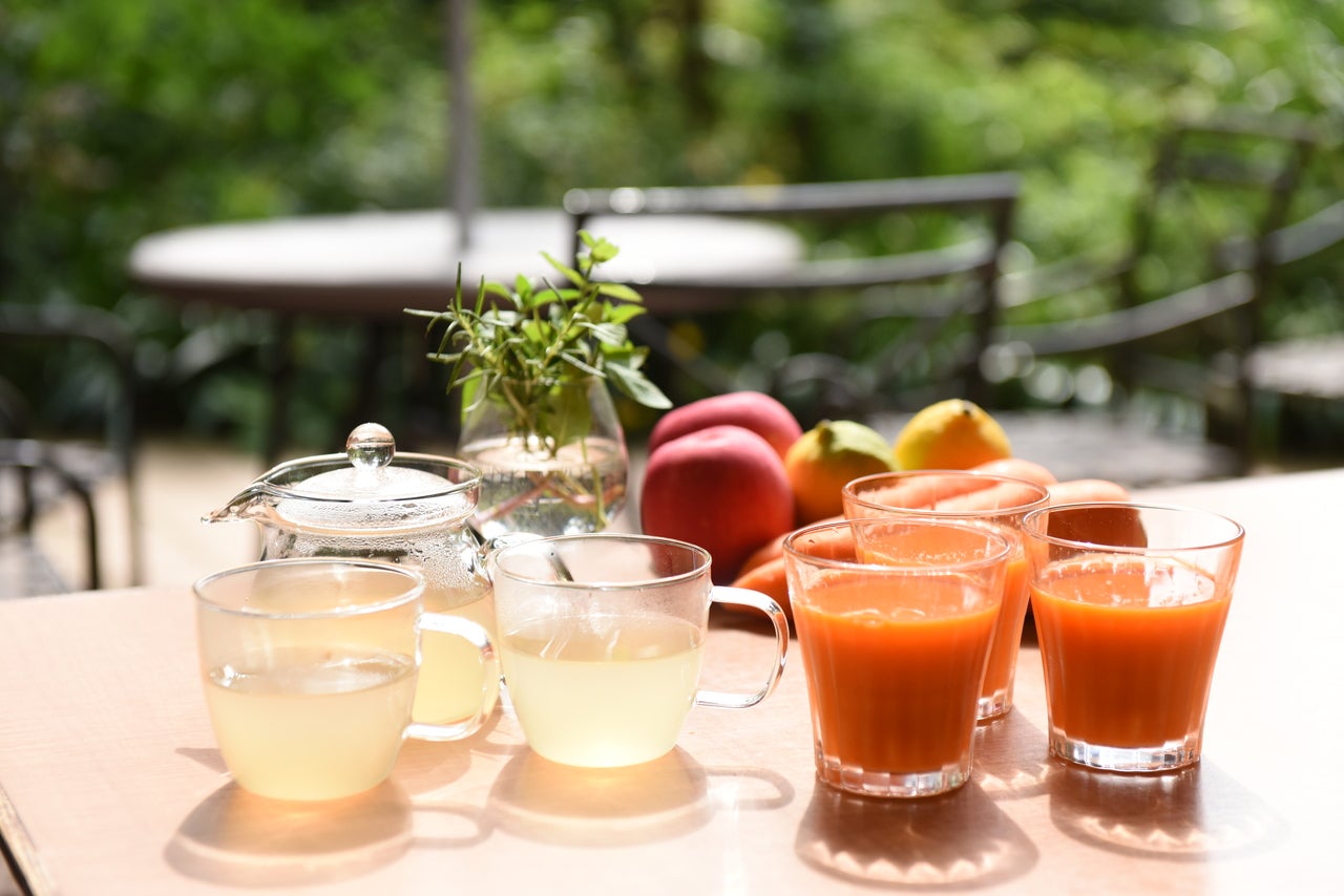 静岡にある断食道場「ヒポラティック・サナトリウム」