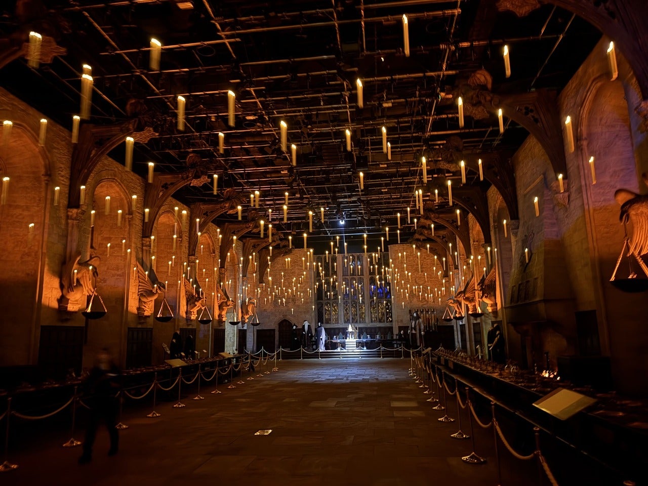 キャンドルが揺らめく魔法の天井の下、表情豊かな組分け帽子による＜組分けの儀式＞を体感