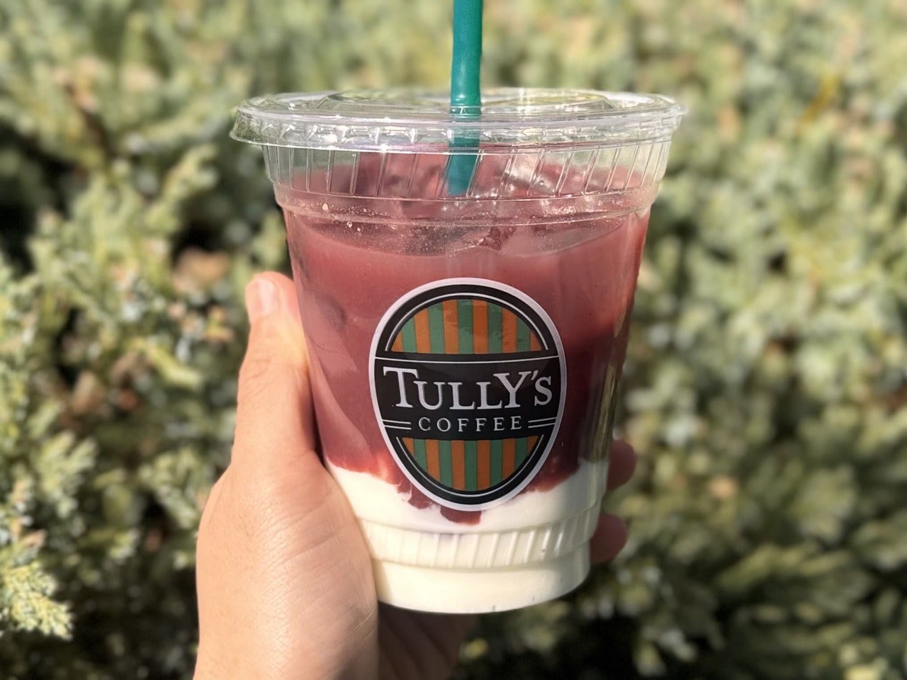 タリーズ　ヨーグルトアサイー正面