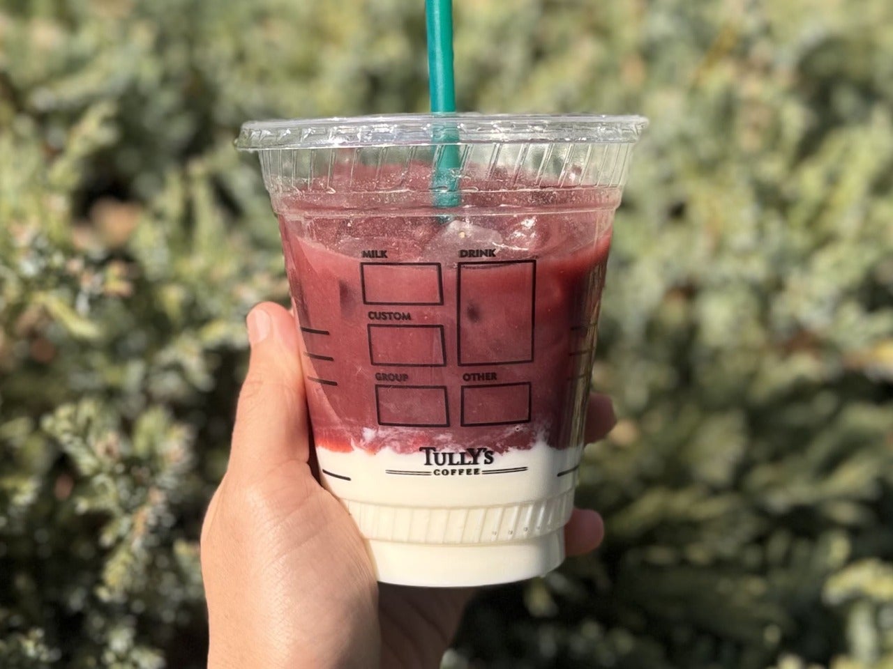 タリーズ　ヨーグルトアサイー正面裏