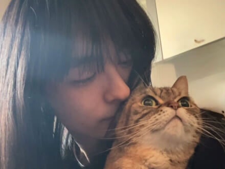 記事のサムネイル