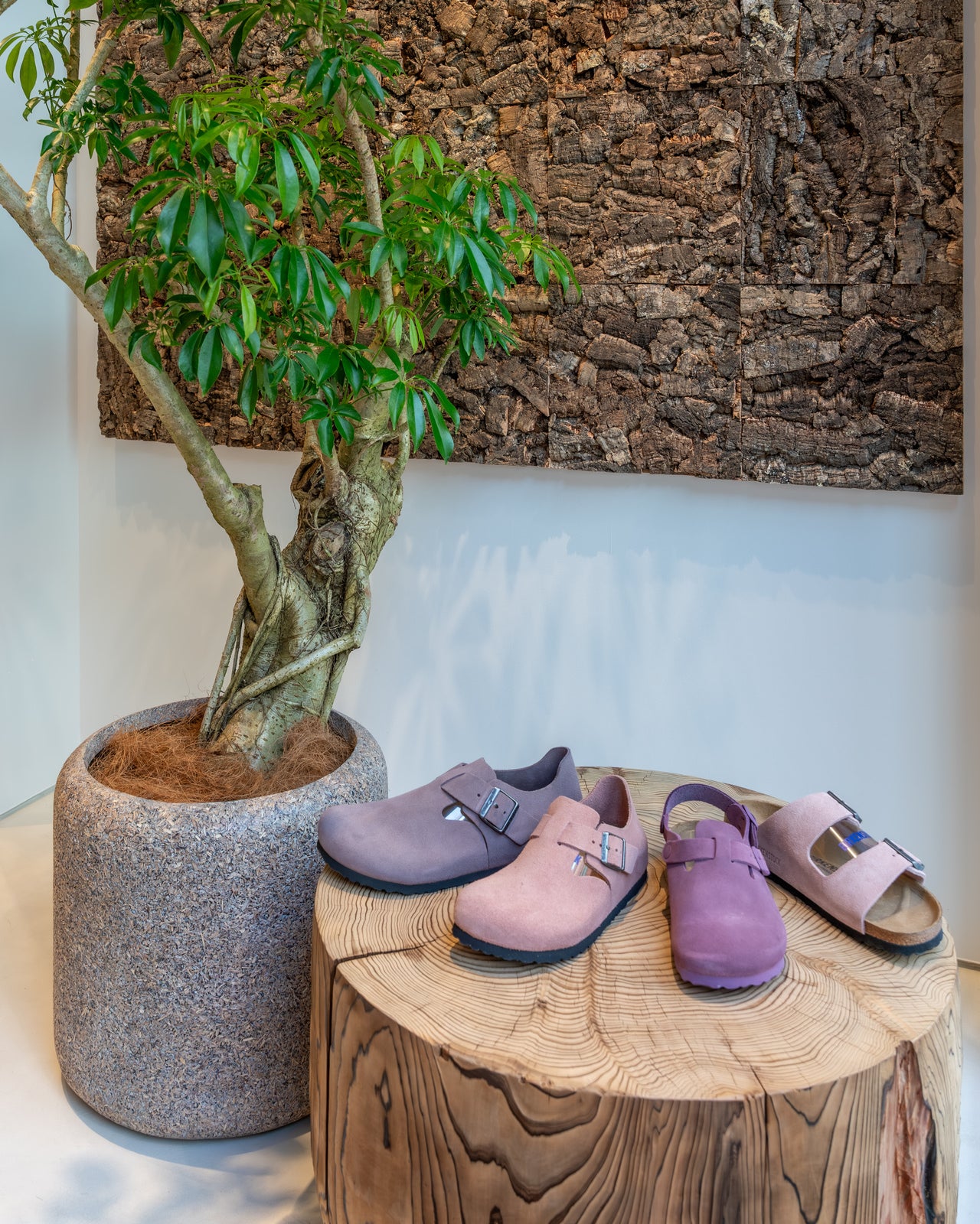 大阪初 BIRKENSTOCKコンセプトストア 商品写真